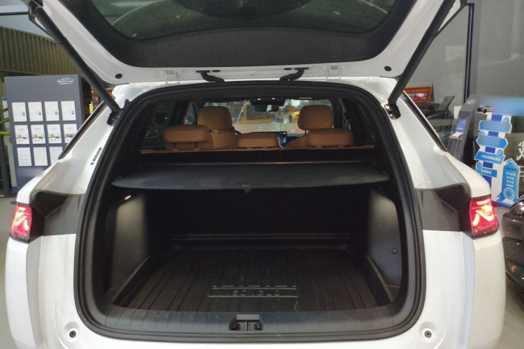 比亚迪 宋L DM-i 2025款 智驾版 160km 超越型局部细节23