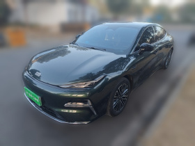 吉利银河 银河星耀8 2025款 130km EM-i 尊贵版