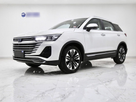 奔腾T77 2021款 PRO 280 TID 定制版