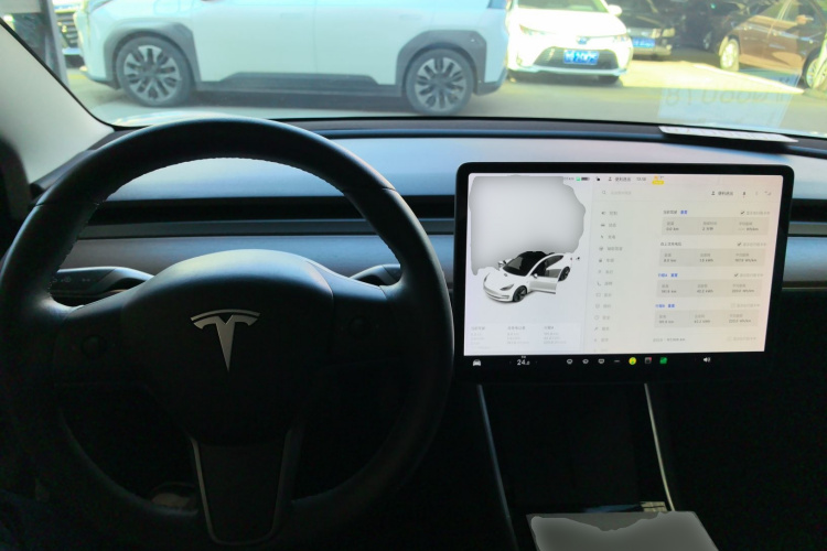 特斯拉 Model 3(进口) 2019款 长续航全轮驱动版局部细节13