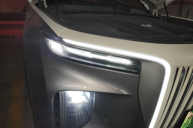 红旗E-HS9 2021款 510km 旗领版 四座车身外观6006