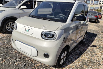 五菱汽车 宏光MINIEV 2024款 第三代 215km 进阶版