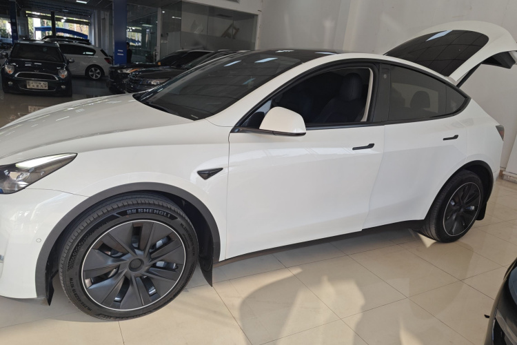 特斯拉 Model Y 2021款 长续航全轮驱动版车身外观6003