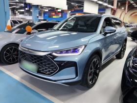 比亚迪 唐新能源 2024款 DM-p 冠军版 215KM 四驱旗舰型