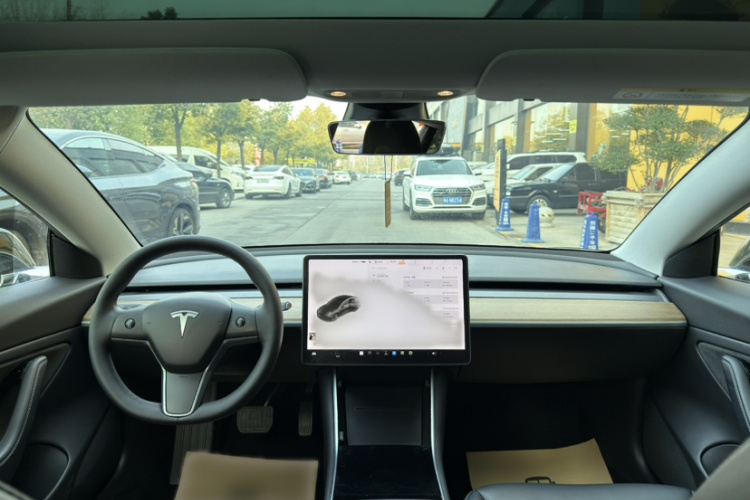 特斯拉 Model 3(进口) 2019款 长续航后驱版中控内饰7003