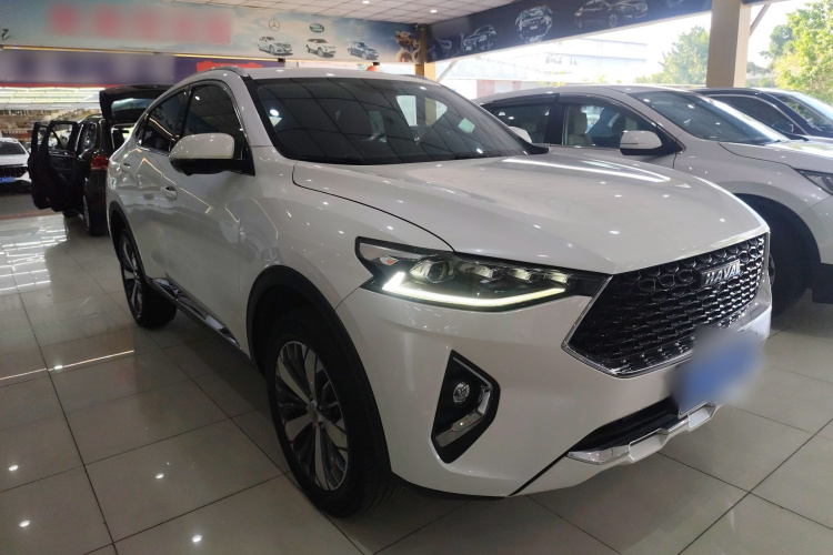 哈弗F7x 2019款 1.5T 两驱极智潮玩版车身外观3