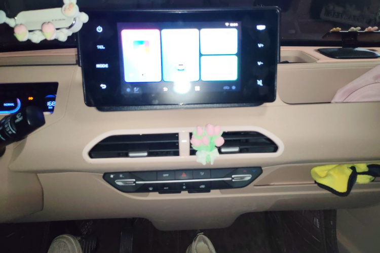 吉利银河 2024款 熊猫mini 200km 耐力熊局部细节16