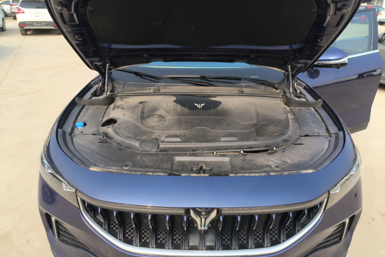 岚图汽车 岚图FREE 2021款 四驱标准增程专属豪华套装局部细节24