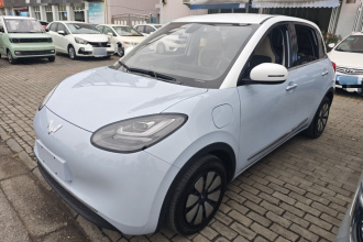 五菱汽车 五菱缤果 2023款 410km 灵犀尊享款