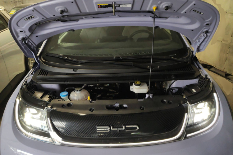 比亚迪 海豚 2023款 420km 自由版机舱底盘24