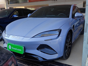 比亚迪 海豹 2025款 510标准版