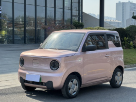 吉利银河 2023款 熊猫mini 200km 耐力熊