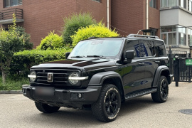 坦克300 2023款 越野版 2.0T 征服者