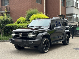 坦克300 2023款 越野版 2.0T 征服者