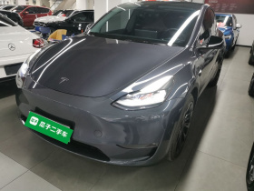特斯拉 Model Y 2021款 长续航全轮驱动版