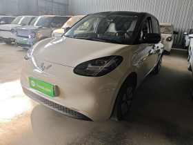 五菱汽车 五菱缤果 2024款 333km 悦享款