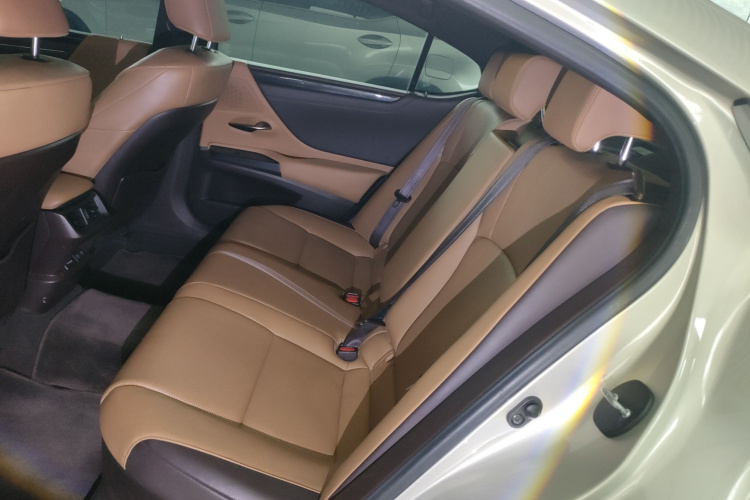 雷克萨斯ES 2020款 300h 卓越版中控内饰21