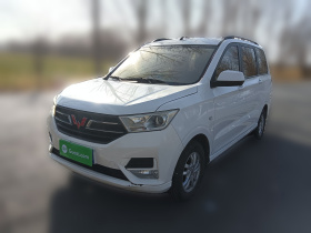 五菱汽车 五菱宏光 2019款 1.5L S舒适型国VI LAR