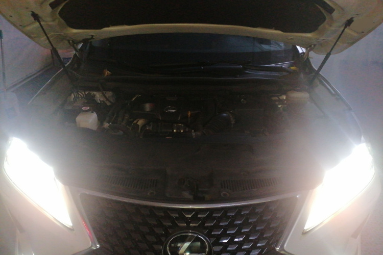 雷克萨斯RX 2020款 300 四驱典雅版 国VI局部细节24