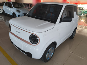 吉利银河 2024款 熊猫mini 200km 耐力熊