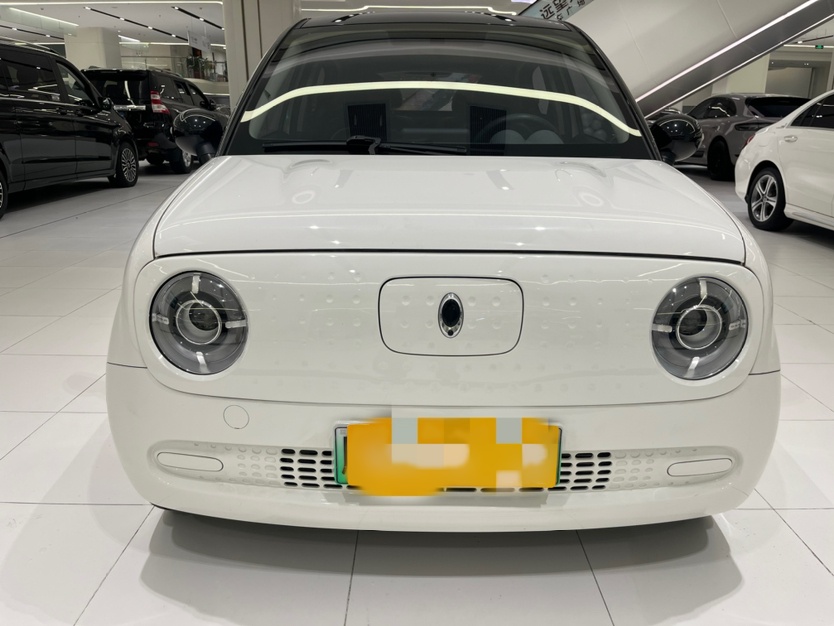 欧拉黑猫 2021款 301km 萌宠版