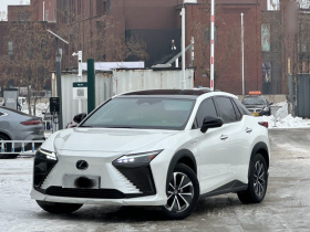 雷克萨斯RZ 2023款 450e 四驱纵享版