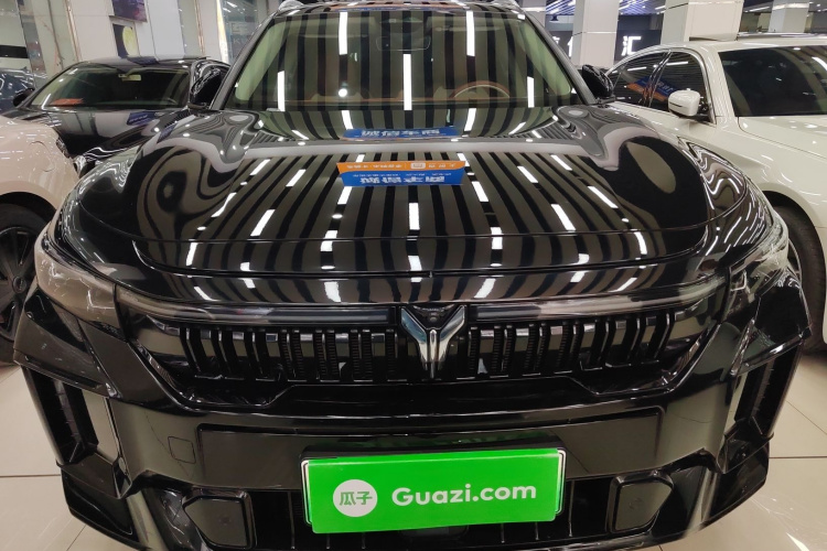 岚图汽车 岚图FREE 2024款 超长续航智驾版车身外观6001