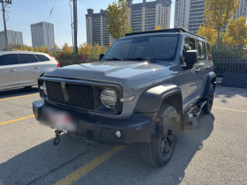 坦克300 2021款 越野版 2.0T 挑战者