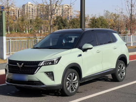 五菱汽车 五菱星辰 2022款 2.0L DHT电速款