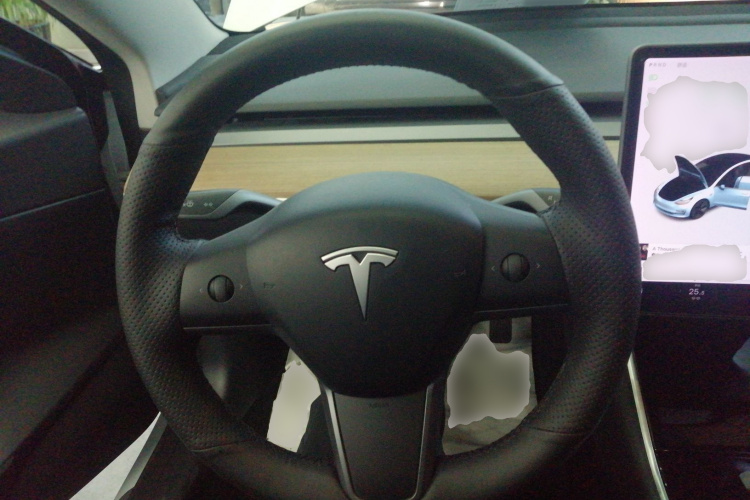 特斯拉 Model 3(进口) 2019款 标准续航后驱升级版(60度)中控内饰13