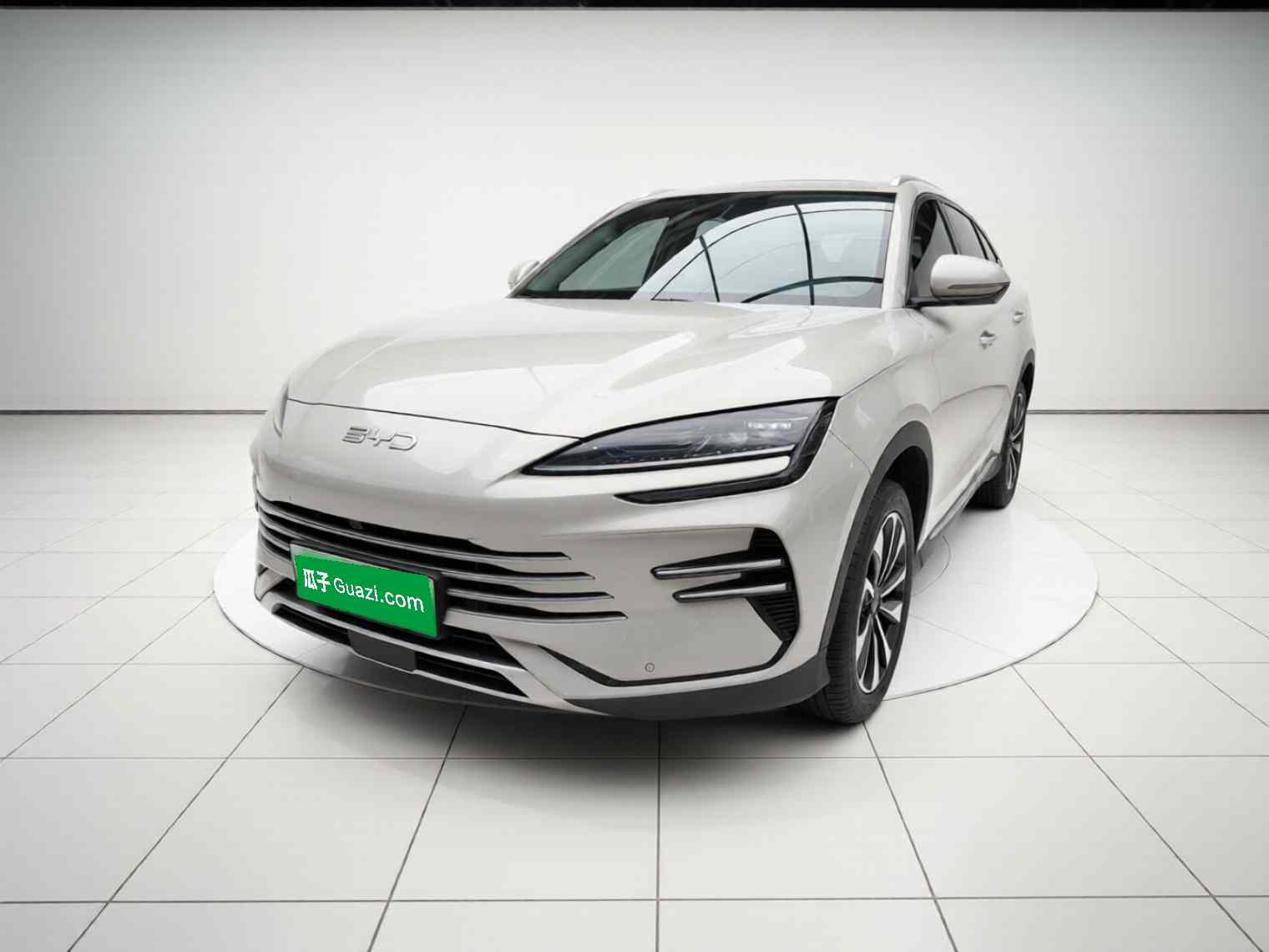 比亚迪 宋PLUS新能源 2025款 DM-i 112KM 尊贵型(2)