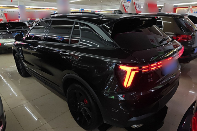 领克01 2023款 2.0TD 四驱暗夜版车身外观6005