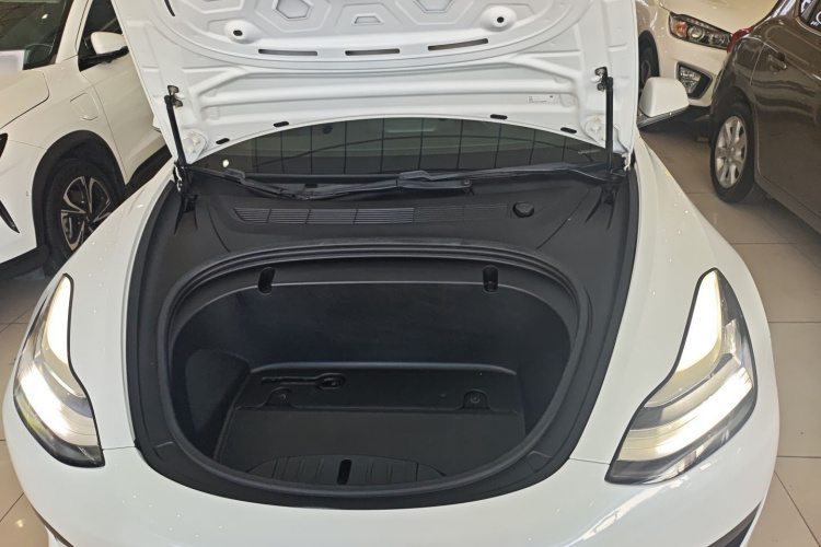 特斯拉 Model 3(进口) 2019款 标准续航后驱升级版(60度)机舱底盘24