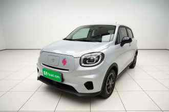 零跑汽车 零跑T03 2023款 310轻享版