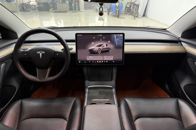 特斯拉 Model 3 2022款 后轮驱动版车身外观6010