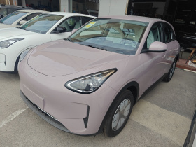 吉利银河 星愿 2026款 310km 青春版