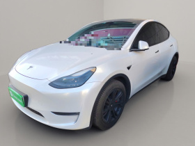 特斯拉 Model Y 2023款 长续航全轮驱动版
