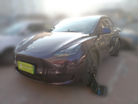特斯拉 Model Y 2023款 长续航全轮驱动版