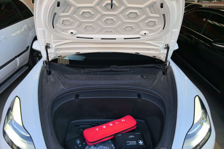 特斯拉 Model 3(进口) 2019款 长续航全轮驱动版局部细节24