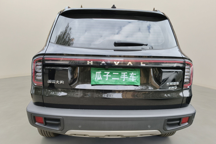 哈弗大狗 2024款 2.0T DCT中华田园犬版车身外观6