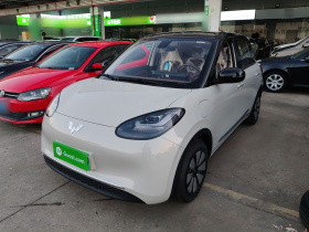 五菱汽车 五菱缤果 2025款 333km 悦享款