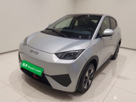 比亚迪 海鸥 2025款 智驾版 305km 活力版