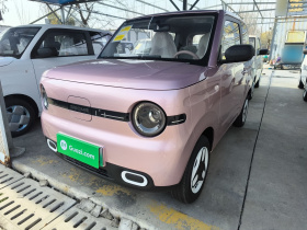 吉利银河 熊猫 2025款 210km 元气熊