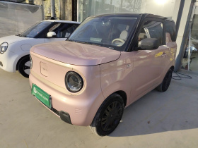 吉利银河 2023款 熊猫mini 200km 灵动熊