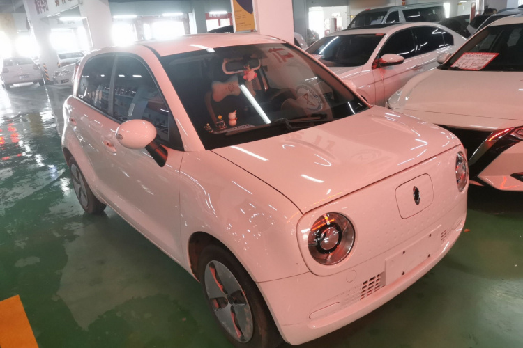 欧拉黑猫 2021款 301km 基础型车身外观6002