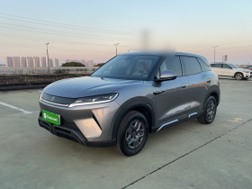 比亚迪 元UP 2024款  401KM 活力版