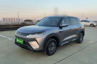 比亚迪 元UP 2024款  401KM 活力版