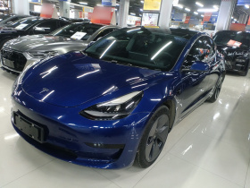 特斯拉 Model 3 2022款 后轮驱动版