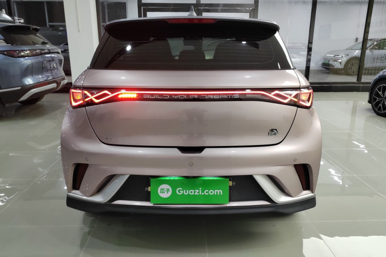 比亚迪 海豚 2021款 401km 骑士版车身外观6