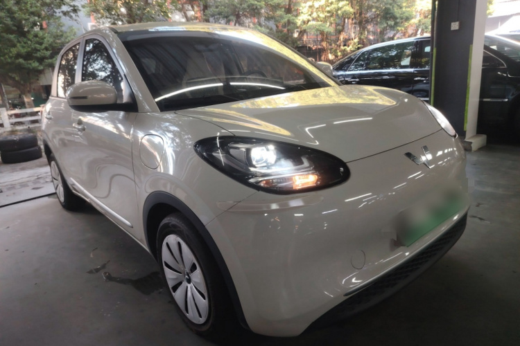 五菱汽车 五菱缤果 2023款 333km 快享款车身外观6002